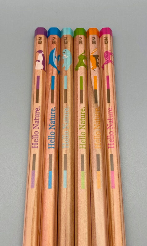 Tombow • Brush pen set di 12 Colori