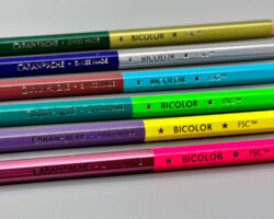 caran d'ache claim your style bicolour pencils