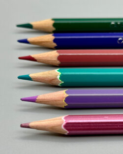 caran d'ache claim your style bicolour pencils