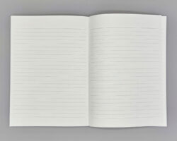 apica premium cd notebook a5