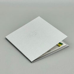 midori die-cut sticky notes forest