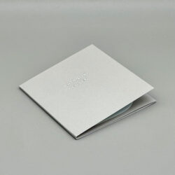 midori die-cut sticky notes swans