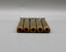 blackwing volume 21 pencil