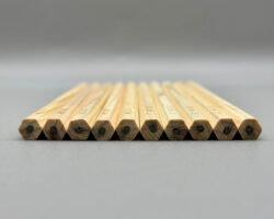 hinoki cypruss pencils