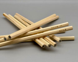 hinoki cypruss pencils