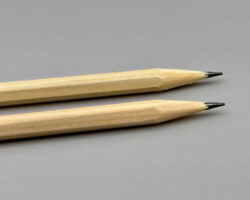 hinoki cypruss pencils