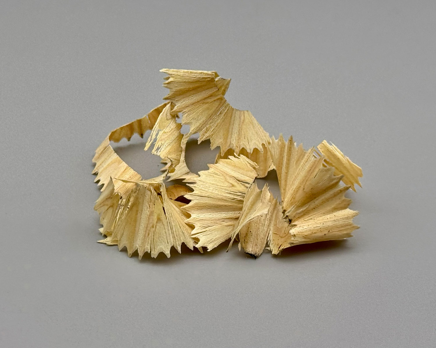 hinoki cypruss pencils